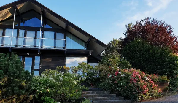 Геодезические работы для ландшафтного проектирования: топосъёмка, рельеф, деревья, дренаж