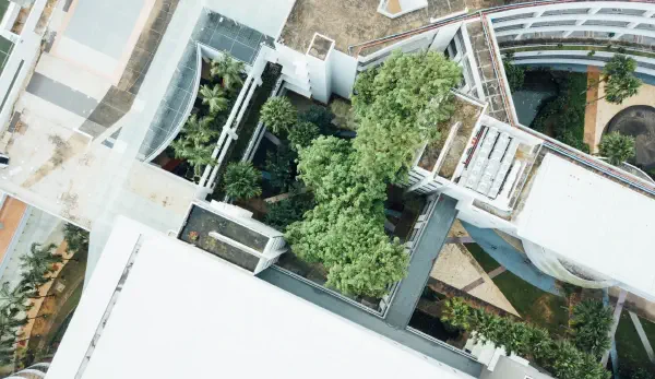 Межевание в СНТ и земли общего пользования: порядок, документы и результат в ЕГРН