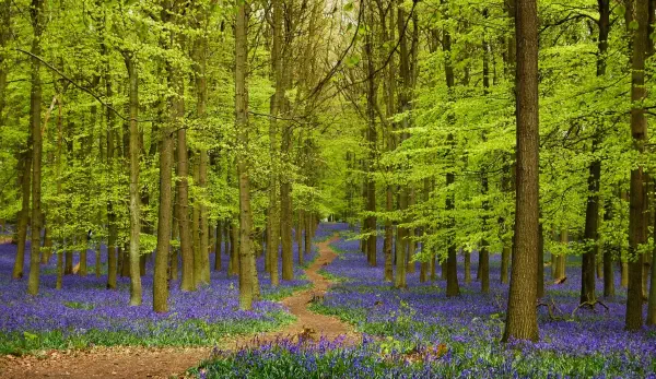 Судебная землеустроительная экспертиза в Москве и Московской области — заключение для суда